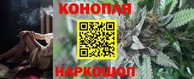 сатива Нарткала