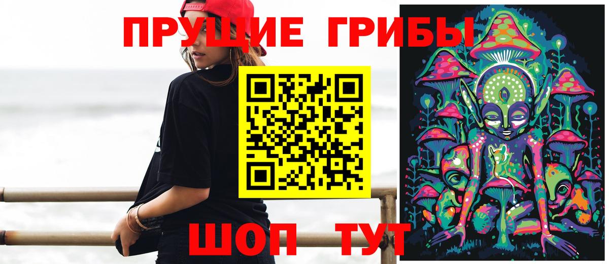 Галлюциногенные грибы Psilocybe Богданович