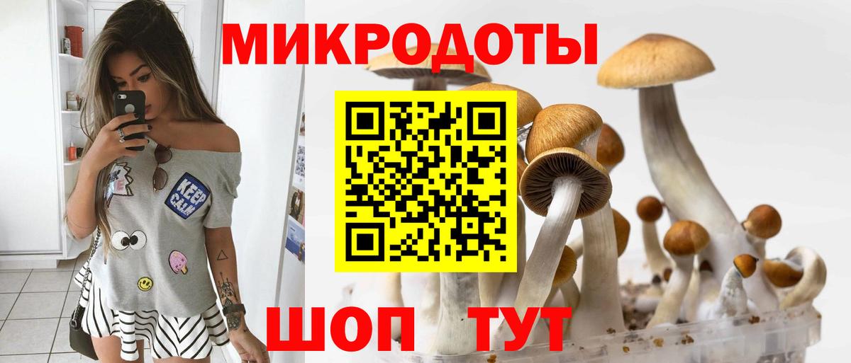Богданович  закладка  Галлюциногенные грибы Cubensis  Вход с VPN  Псилоцибиновые грибы GOLDEN TEACHER 